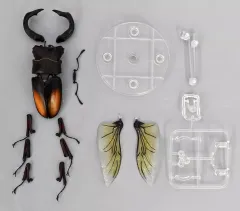 【中古】トレーディングフィギュア パリーフタマタクワガタ＋ディスプレイスタンド 「いきもの大図鑑アドバンス クワガタ02 樹皮台座(中)セット」 ガシャポンオンライン限定