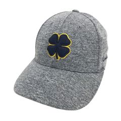 Item thumbnail for item 84a36af7-c579-4a3a-90a6-034ee065c0bc