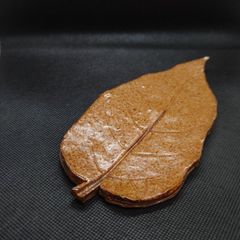備前焼 木葉 お皿 見附文雄 5枚 - メルカリ