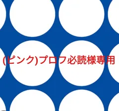 (ピンク)プロフ必読様専用ページです。