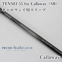 Item thumbnail for item 02d1c37f-179a-4df9-8437-f472cddb0bca