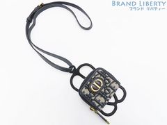 Item thumbnail for item e2342944-2499-4d3d-b39c-9cc0c53ad761