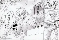 【中古】雑貨 リボーン＆沢田綱吉 名場面アートボード 「オレお前を絶対に死なせないから」 「家庭教師ヒットマンREBORN!」 天野明展 The Charactersグッズ