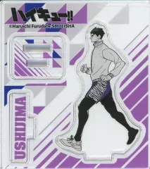 【中古】アクリルスタンド・アクリルパネル 牛島若利 「ハイキュー!! アクリルフィギュアコレクション 第6弾」