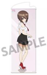 非売品】さくら荘のペットな彼女 椎名ましろ HMV コラボスリムポスター
