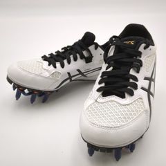 Item thumbnail for item 2c7b19d0-beae-4e2a-8d61-cc71c20d536e