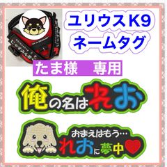 Item thumbnail for item 1d9257e0-73d5-45e5-82ed-cec52cf52393