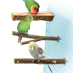 Item thumbnail for item 9f57a6fa-a5d7-47d1-8048-d540425d93c6