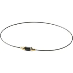 ファイテン(phiten) RネックEX カーボン GD 50CM ボディケアグッズ