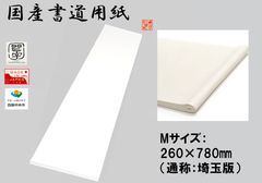 Item thumbnail for item c50ac12a-0024-4047-b402-d4bc86f679b2