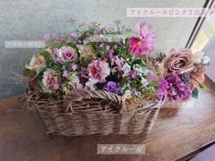 ビオラ　パンジー　アイクルール　葉牡丹　寄せ植え　季節の寄せ植え　　寄せ植えバスケット　シエルブリエ　　M ギフト　苗　花　数量限定