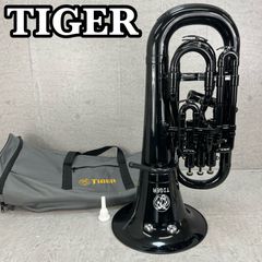 Item thumbnail for item 5d3cd8a1-2259-42d6-9af1-3869be44640e