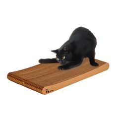 Item thumbnail for item 6a0326d0-629c-42c8-98ae-d98b9eb4ae9e