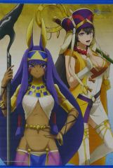 [중고] 태피스트리 니트 크리스 & 현안 산조 신작 B2 태피스트리 [Blu-ray/DVD 극장판 Fate/Grand Order -신성원탁영역 카멜롯- 후편 Paladin; Agateram] 소프맵·애니메가 구입 특전
