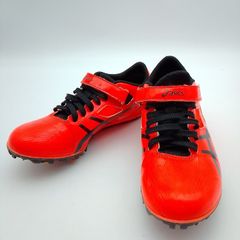 Item thumbnail for item 74c6646d-931b-48cd-bb65-8093b5960f01