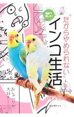 Item thumbnail for item 2f6b1b8d-11c6-4888-8a56-8ba5bc249396