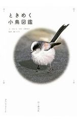 Item thumbnail for item e2db7a55-a25b-401f-8083-e07c403298b5