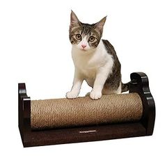 Item thumbnail for item 51dfabb0-839f-4118-96d6-d5f3ecf618f7