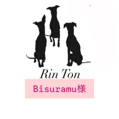 Bisuramu様専用ページ