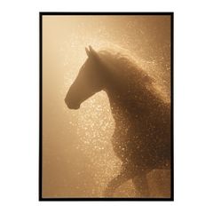 【A2サイズ（約42x59cm）】【lm-poster-7804】【フレーム付き】馬 ホース 絵 絵画 写真 動物 アニマル 北欧 ポップ アート 手書き 安い ポスター  インテリア おしゃれ  プリントポスター フォト イラスト