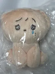 SEVENTEEN ドギョム(DK) ぬいぐるみ 未開封