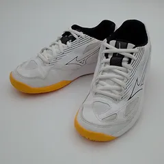 ジュニア バレーボールシューズ サイクロンスピード 4 Jr. V1GD231054 ホワイト 22.5cm