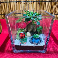 苔テラリウム ガラスキューブ - メルカリ