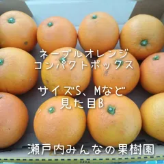 コンパクトボックス、少量で良い方やケーキお菓子作り等に●国産ネーブルオレンジ  ●1.3kg前後【箱の重さ等込み】 ●12個前後 ●外皮　B ●採りたて新鮮商品 ●サイズ　混合（M、S、2Sなど小さめ）