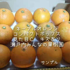 国産ネーブルオレンジ ●少量でよいかたへ、お試しにも●1.3kg前後【箱の重さ、緩衝材込】 ●12個前後（小さめが多い時は個数が増えます） ●外皮　見た目　Ｃ 　訳（キズ）あり ●採りたて新鮮商品 ●M、Ｓ、２Ｓなど小さめ