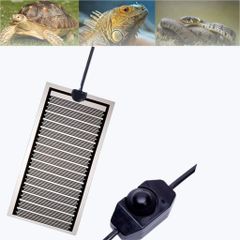 Item thumbnail for item 814c8fe5-86da-4fb4-af3a-6ee177660565