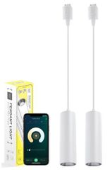 Item thumbnail for item d4c4c074-37d6-4264-841e-a369c7b3bc49