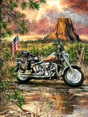 Dona Gelsinger クロスステッチ 図案 刺しゅう チャート 【 The Open Road 】 Heaven And Earth Designs 上級者 全面刺し HAED バイク ハーレー