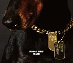(CD)1st SONG(CD2枚組 10周年記念盤) (初回生産限定) - DOBERMAN INFINITY／DOB
