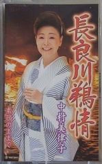 Item thumbnail for item c01f3fed-626a-4924-885f-79642c2317ef