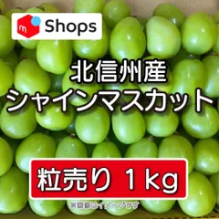 2026年最新】完熟シャインマスカットの人気アイテム - メルカリ