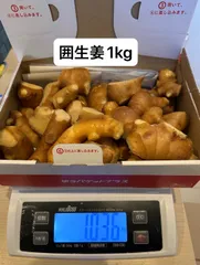 囲生姜1kg(カット済み)  しょうがのサムネイル
