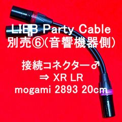 Item thumbnail for item 4f403f18-83f6-47c5-a4bf-d8da12f4b105