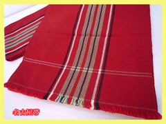 定価691,200円 テラプラナヒーターG 家庭用温熱 ヒーターパッド2個付