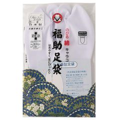 Item thumbnail for item c4d9b105-8250-4ad6-9211-a4e47f9e58bd