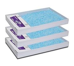 Item thumbnail for item fed497a7-3ad7-41c1-b0dc-e79159d1b61c