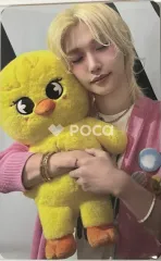 straykids フィリックス スキズ Stray Kids World Tour dominATE : celebrATE SKZOO PHOTOCARD TINCASE