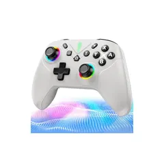 Switch 2 コントローラー ダブルホール機能 Switch1/2代?応【2025革新モデル】スイッチ プロコン TURBO自動連射機能 6軸ジャイロセンサー搭載 4階段HD振動 背面ボタン付き 9色RGBライト ゼロ遅延 無線接続 1000mAh大容量 