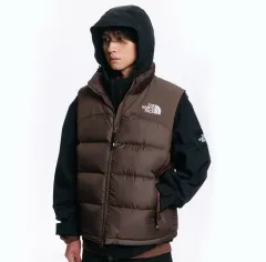 THE NORTH FACE ザノースフェイス ファー付き ダウンベスト ブラウン Nuptse(ヌプシ)