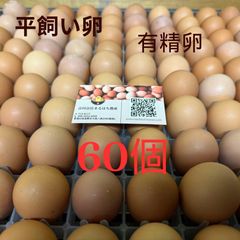 食品 平飼い卵 ナマコの肝様