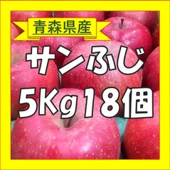 【即発送】サンふじ 贈答用 青森県産りんご 5㎏(FA507A)