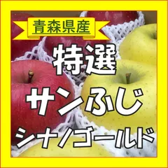 年内発送可【特選】サンふじ＆シナノゴールド 青森県産りんご 特大 3㎏(FG301S)