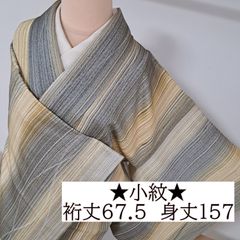 トールサイズ 紗 夏着物 小紋 洗える着物 縦ぼかし 紬風 単衣