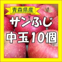 【お買得】訳あり サンふじ 青森県産 りんご 3㎏(F302B)