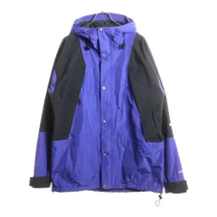 THE NORTH FACE (ザノースフェイス) 1994 RETRO MOUNTAIN LIGHT GTX JACKET レトロ マウンテンライト ゴアテックス ナイロンジャケット ブルー