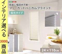 Item thumbnail for item 966d31ce-2084-429d-a958-7bfac8db9a38